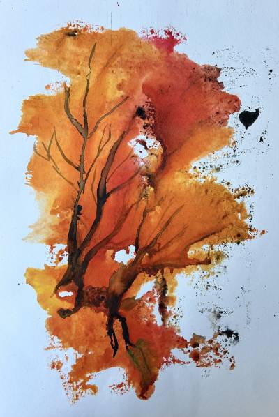 Arbres au couchant