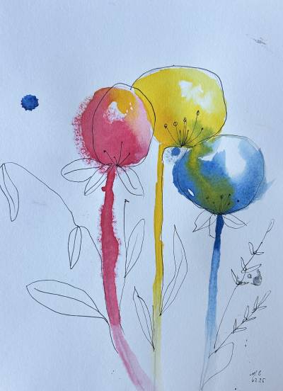 Colorolles