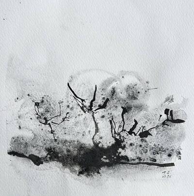 Ce que dessine la brume